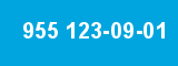 955 123-09-01
